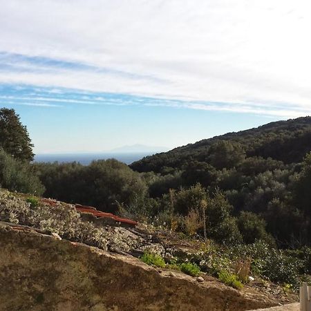 Maison Dans Le Cap Corse Βίλα Tomino Εξωτερικό φωτογραφία