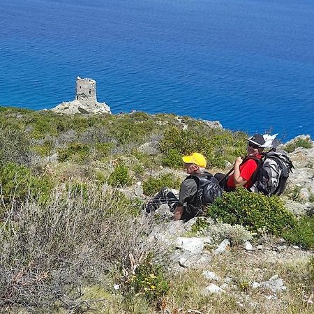 Maison Dans Le Cap Corse Βίλα Tomino Εξωτερικό φωτογραφία