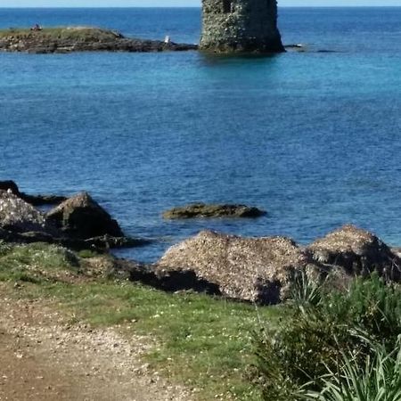 Maison Dans Le Cap Corse Βίλα Tomino Εξωτερικό φωτογραφία