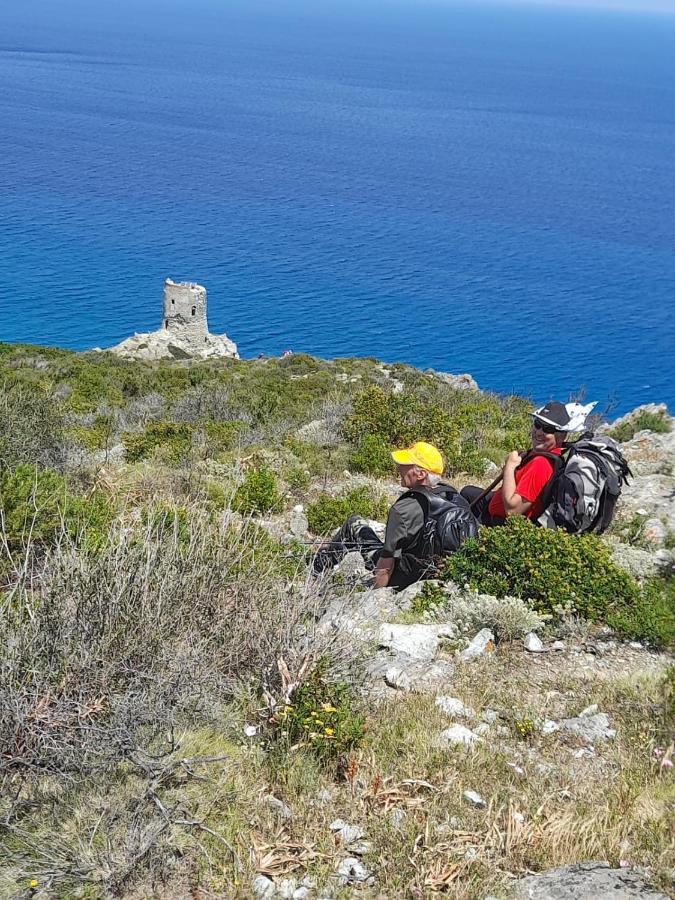 Maison Dans Le Cap Corse Βίλα Tomino Εξωτερικό φωτογραφία